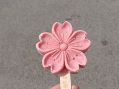 -上海辰山植物园