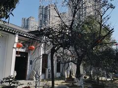 -不倒翁·徽天下名菜楼(马鞍山路店)