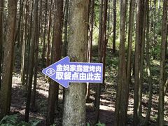 -武陵山森林公园