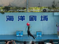 -无锡动物园·太湖欢乐园