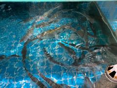 -崂山水果园农家宴(泉水鸡店)