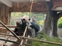 -常州淹城野生动物世界