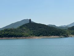 -望湖烤鱼