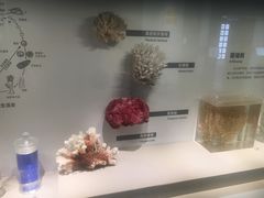 -四川大学博物馆