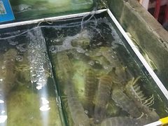 -拉威海鲜市场