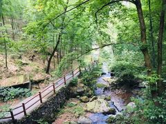 -藏龙百瀑风景区