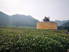 -听风阁农家私房菜茶楼(龙坞店)