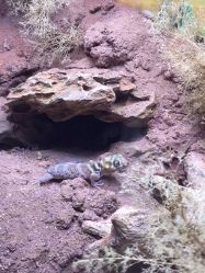 -酷嗒动物文化乐园(cutezoo西溪乐天城店)