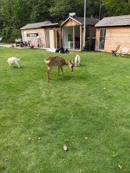 -爱你宝贝儿童摄影(西湖云端店)