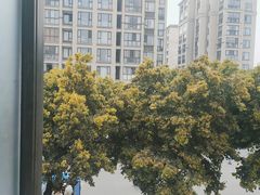 -乡村基(双流时代奥特莱斯餐厅)