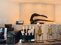 -虹桥机场国航贵宾室v8