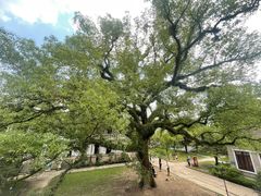 -蒋氏故居