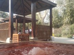 -春晖园度假酒店温泉