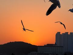 -海云台海滩