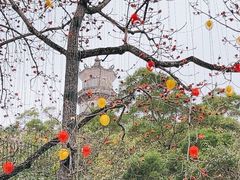 -惠州泗洲塔