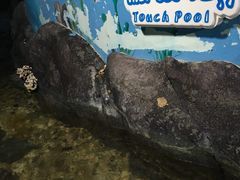 -苏州海洋馆
