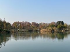 -成都南湖公园