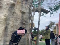 -南戴河国际娱乐中心