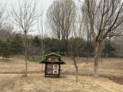 -东郊湿地公园