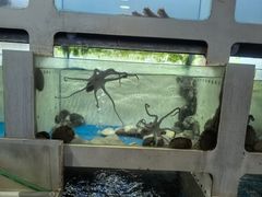 -质烤烤物·活烤海鲜(质烤总店)