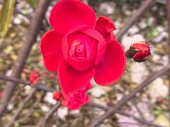 -白塔湖国家湿地公园