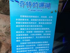 -杭州海底世界