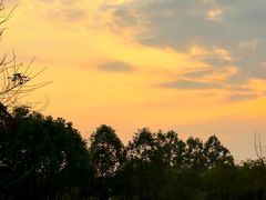 -白鹭湾湿地公园