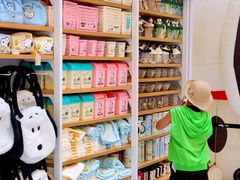 -东莞松山湖万象汇