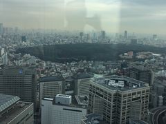 -东京都厅舍