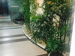 -樱花国际日语(徐家汇中心)