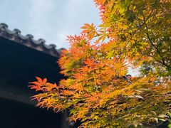 -浙江省博物馆(孤山馆区)