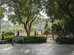 -东风公园