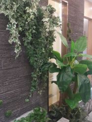 -芳朵美容养生SPA