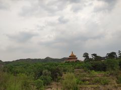 -磬锤峰森林公园