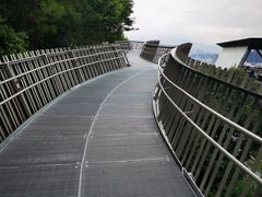 -福道