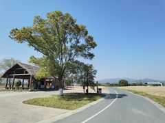 -良渚古城遗址公园