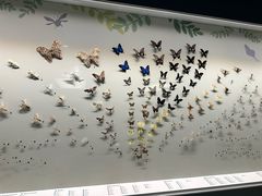 -香港科学馆