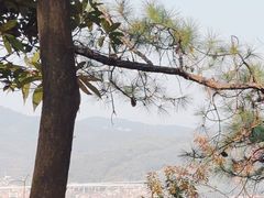 -火炉山森林公园