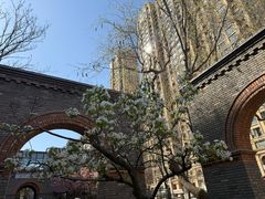 -绿地·中山里