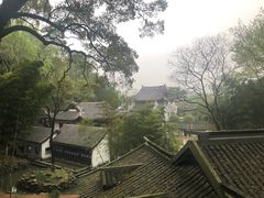 -茶颜悦色(岳麓山顶店)