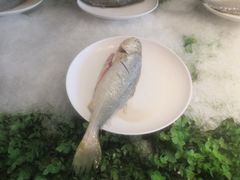 -四海蒸鲜蒸汽海鲜自助(北戴河店)
