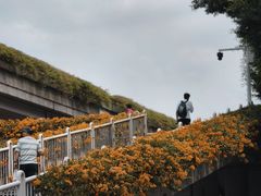 -芬芳甜品(东风西路店)