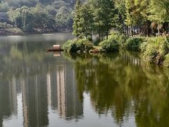 -重庆彩云湖湿地公园