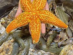 -富临港·蒸汽海鲜·手抓海鲜·炒菜(栈桥店)