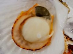 -仙螺岛海鲜自助餐厅(总店)