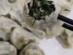 野菜馅饺子-大眼锅贴水饺(河东店)