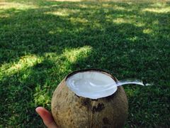 -椰爺爺·椰子冻砵仔糕