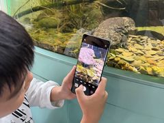 -上海大自然野生昆虫馆(东方明珠·爬宠昆虫探索中心)