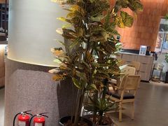 -秀玉coffee&kitchen(黄石大上海店)