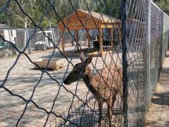 -长白岛森林公园